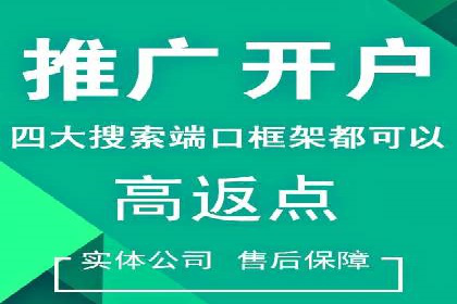 案例剖析：SEM服务助力企业转型